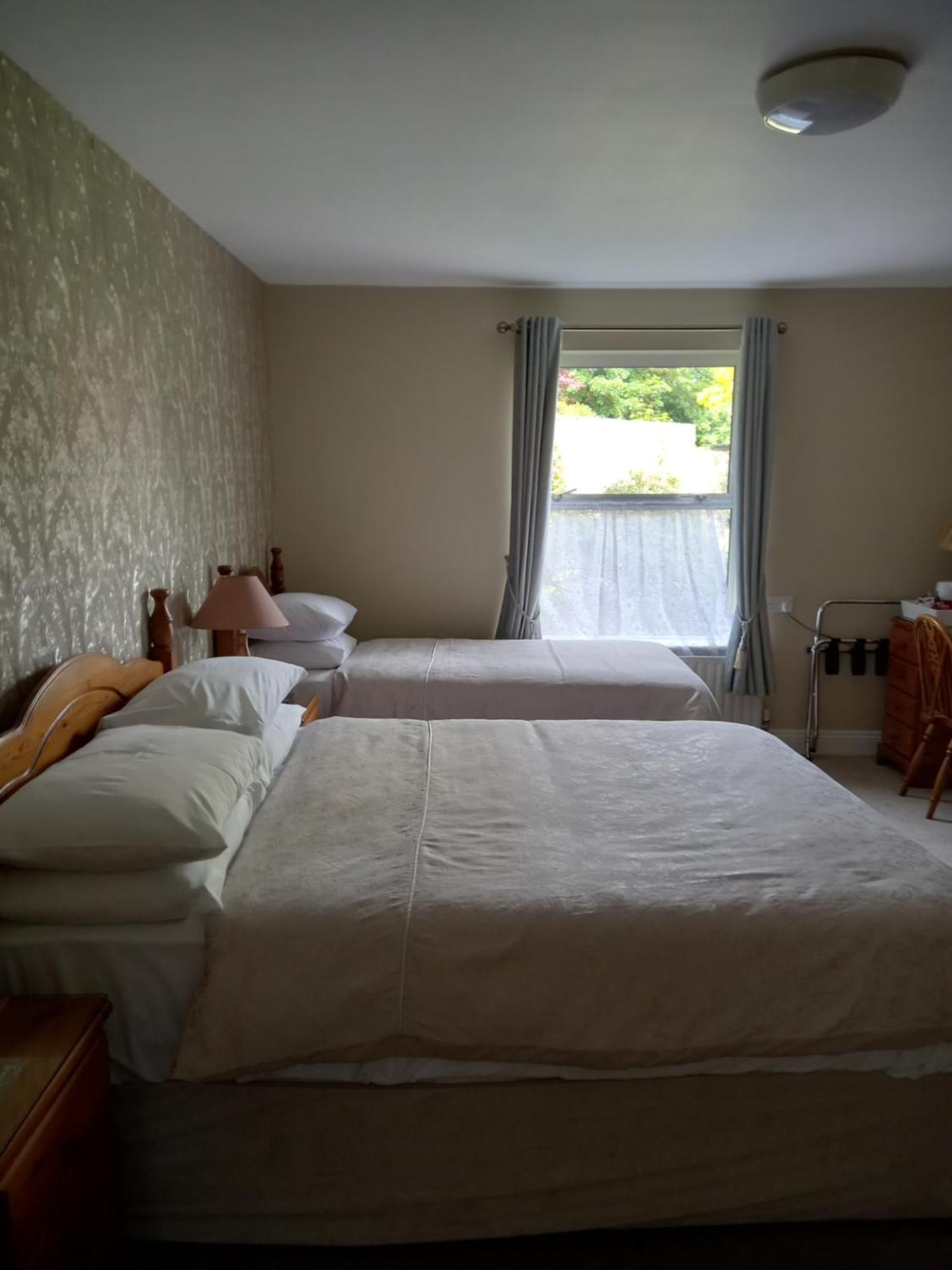 Carraig Rua Bed & Breakfast Килкени Екстериор снимка